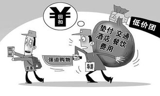探索IT數碼新前沿，人工智能實驗室引領科技資訊潮流